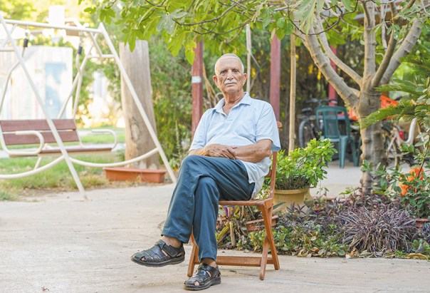 פרופסור אמנון שפירא