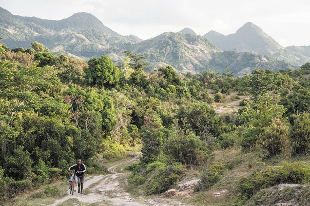 אחת הארצות העשירות בעולם מבחינה אקולוגית. מטע עצי וניל במדגסקר צילום: איי.אפ.פי