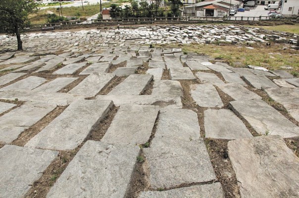 %d7%97%d7%95%d7%94-3