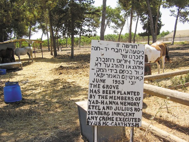 "לא יכולנו לחטוא למצפוננו". חורשה לזכר יוליוס ואתל רוזנברג בקיבוץ יד חנה. צילום: ד"ר אבישי טייכר